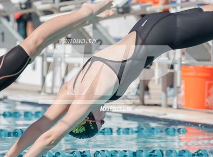 Thumbnail 3 in AIA D2 Swim Finals photogallery.
