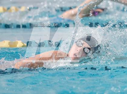 Thumbnail 3 in AIA D2 Swim Finals photogallery.