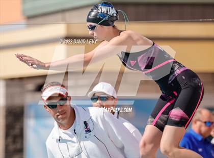 Thumbnail 1 in AIA D2 Swim Finals photogallery.
