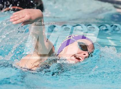 Thumbnail 2 in AIA D2 Swim Finals photogallery.