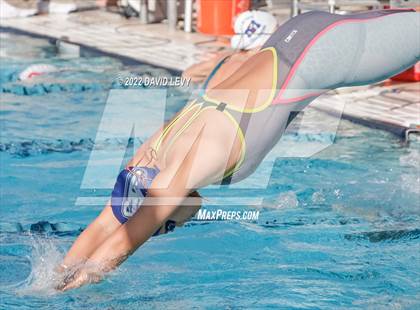 Thumbnail 2 in AIA D2 Swim Finals photogallery.