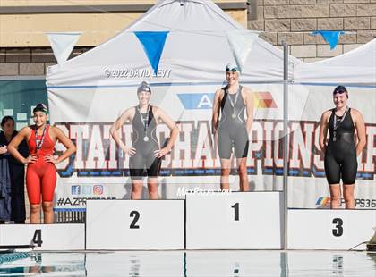 Thumbnail 3 in AIA D2 Swim Finals photogallery.
