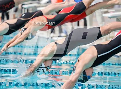 Thumbnail 1 in AIA D2 Swim Finals photogallery.