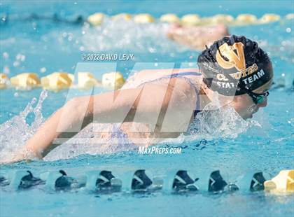 Thumbnail 2 in AIA D2 Swim Finals photogallery.