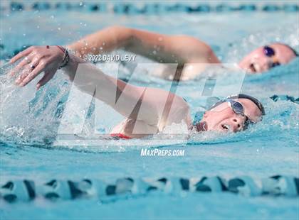 Thumbnail 3 in AIA D2 Swim Finals photogallery.