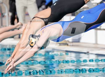 Thumbnail 1 in AIA D2 Swim Finals photogallery.