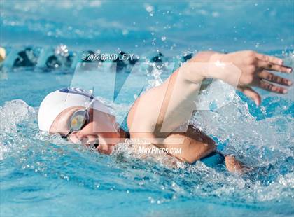 Thumbnail 3 in AIA D2 Swim Finals photogallery.