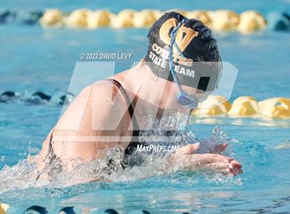 Thumbnail 3 in AIA D2 Swim Finals photogallery.