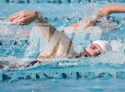Thumbnail 1 in AIA D2 Swim Finals photogallery.