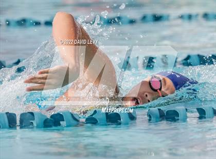 Thumbnail 2 in AIA D2 Swim Finals photogallery.