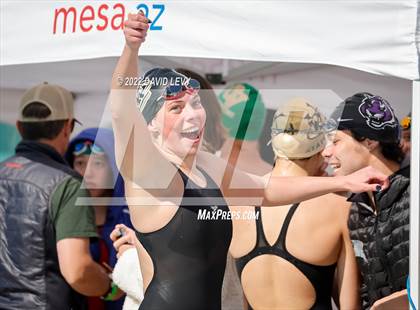 Thumbnail 1 in AIA D2 Swim Finals photogallery.