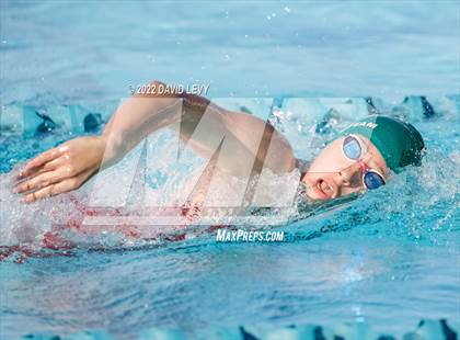 Thumbnail 3 in AIA D2 Swim Finals photogallery.