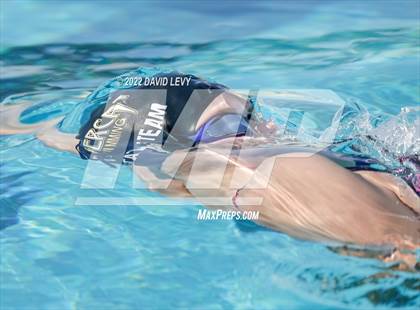 Thumbnail 3 in AIA D2 Swim Finals photogallery.