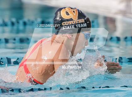 Thumbnail 1 in AIA D2 Swim Finals photogallery.