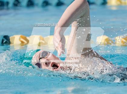Thumbnail 1 in AIA D2 Swim Finals photogallery.