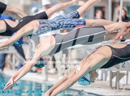 Thumbnail 3 in AIA D2 Swim Finals photogallery.