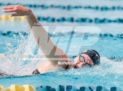 Thumbnail 2 in AIA D2 Swim Finals photogallery.