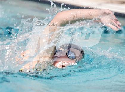 Thumbnail 2 in AIA D2 Swim Finals photogallery.