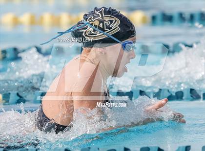 Thumbnail 2 in AIA D2 Swim Finals photogallery.