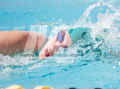 Thumbnail 1 in AIA D2 Swim Finals photogallery.