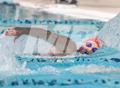 Thumbnail 3 in AIA D2 Swim Finals photogallery.