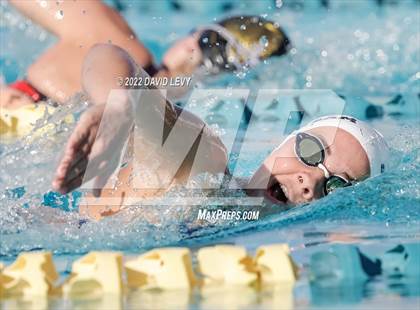 Thumbnail 3 in AIA D2 Swim Finals photogallery.