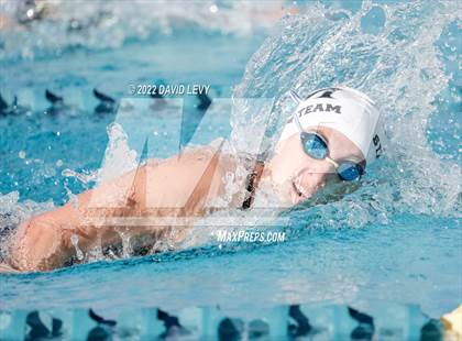 Thumbnail 1 in AIA D2 Swim Finals photogallery.