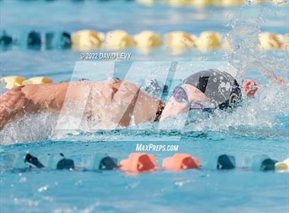 Thumbnail 3 in AIA D2 Swim Finals photogallery.