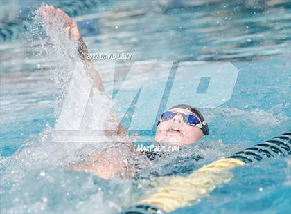 Thumbnail 2 in AIA D2 Swim Finals photogallery.