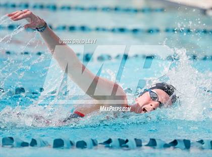Thumbnail 1 in AIA D2 Swim Finals photogallery.