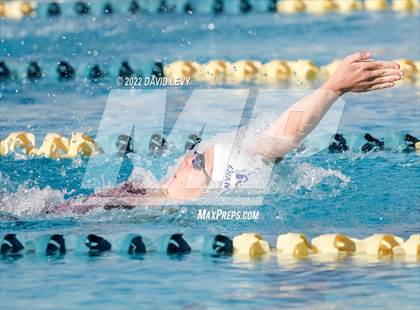 Thumbnail 2 in AIA D2 Swim Finals photogallery.