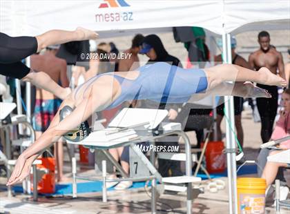 Thumbnail 2 in AIA D2 Swim Finals photogallery.