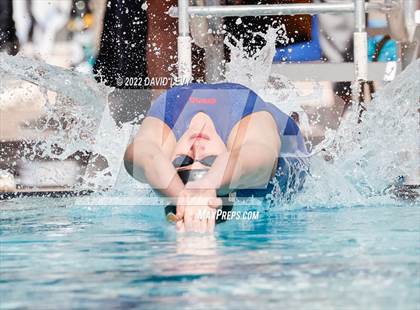 Thumbnail 3 in AIA D2 Swim Finals photogallery.