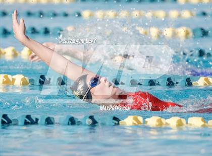 Thumbnail 3 in AIA D2 Swim Finals photogallery.