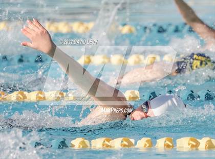 Thumbnail 1 in AIA D2 Swim Finals photogallery.