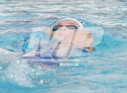 Thumbnail 3 in AIA D2 Swim Finals photogallery.