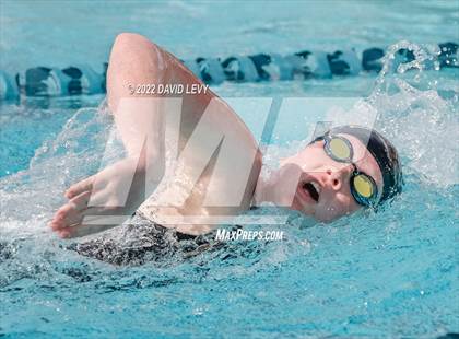 Thumbnail 3 in AIA D2 Swim Finals photogallery.