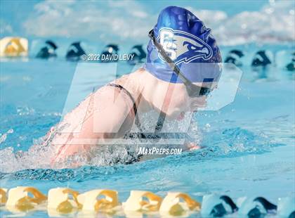 Thumbnail 3 in AIA D2 Swim Finals photogallery.