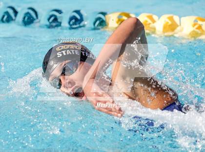 Thumbnail 2 in AIA D2 Swim Finals photogallery.