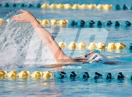 Thumbnail 3 in AIA D2 Swim Finals photogallery.