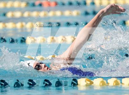 Thumbnail 3 in AIA D2 Swim Finals photogallery.