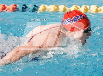 Thumbnail 1 in AIA D2 Swim Finals photogallery.