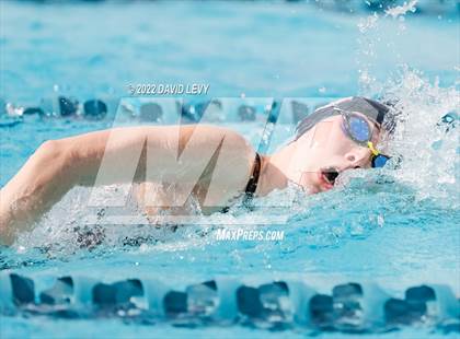 Thumbnail 3 in AIA D2 Swim Finals photogallery.