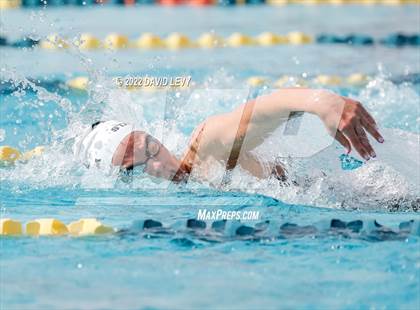 Thumbnail 2 in AIA D2 Swim Finals photogallery.