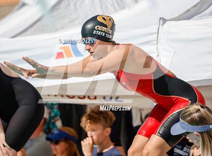 Thumbnail 2 in AIA D2 Swim Finals photogallery.