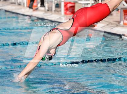 Thumbnail 1 in AIA D2 Swim Finals photogallery.