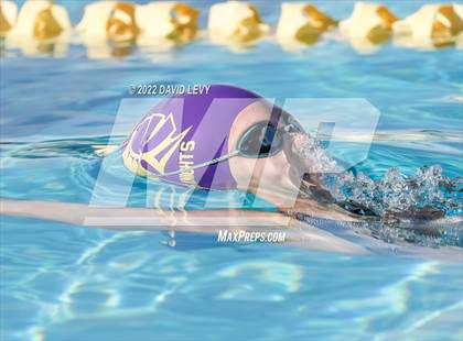 Thumbnail 3 in AIA D2 Swim Finals photogallery.