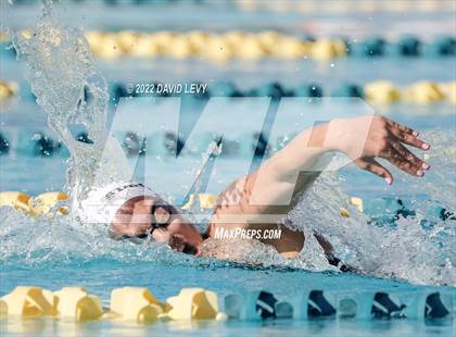 Thumbnail 2 in AIA D2 Swim Finals photogallery.