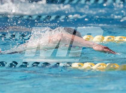 Thumbnail 2 in AIA D2 Swim Finals photogallery.