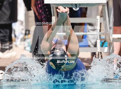 Thumbnail 2 in AIA D2 Swim Finals photogallery.